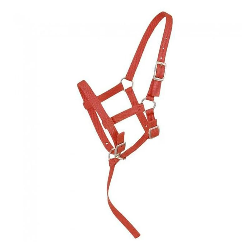 Tough-1 Adjustable Suckling Halter - Image 9