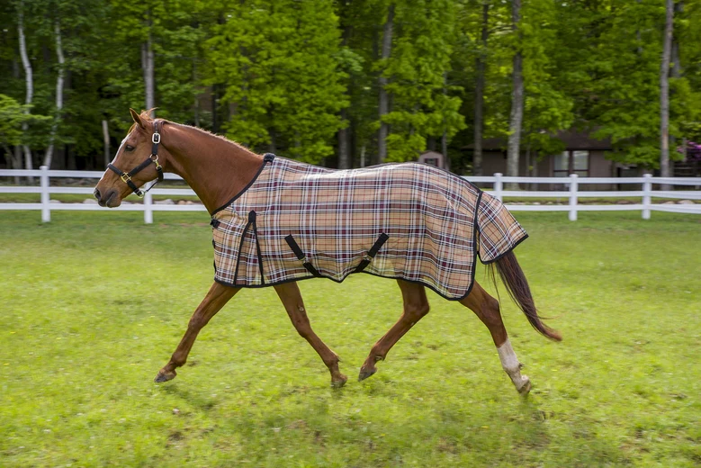 TuffRider Flyshield Sheet