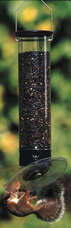 Unique Bird Feeders
