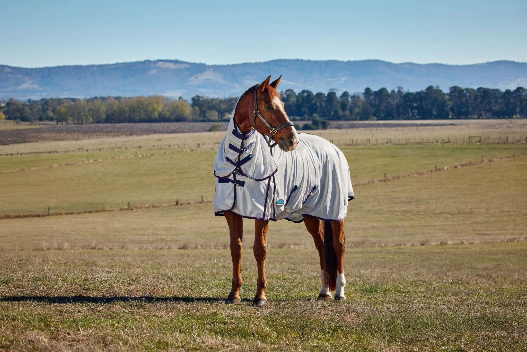 Weatherbeeta ComFiTec Airflow Fly Sheet Combo Neck - Image 3