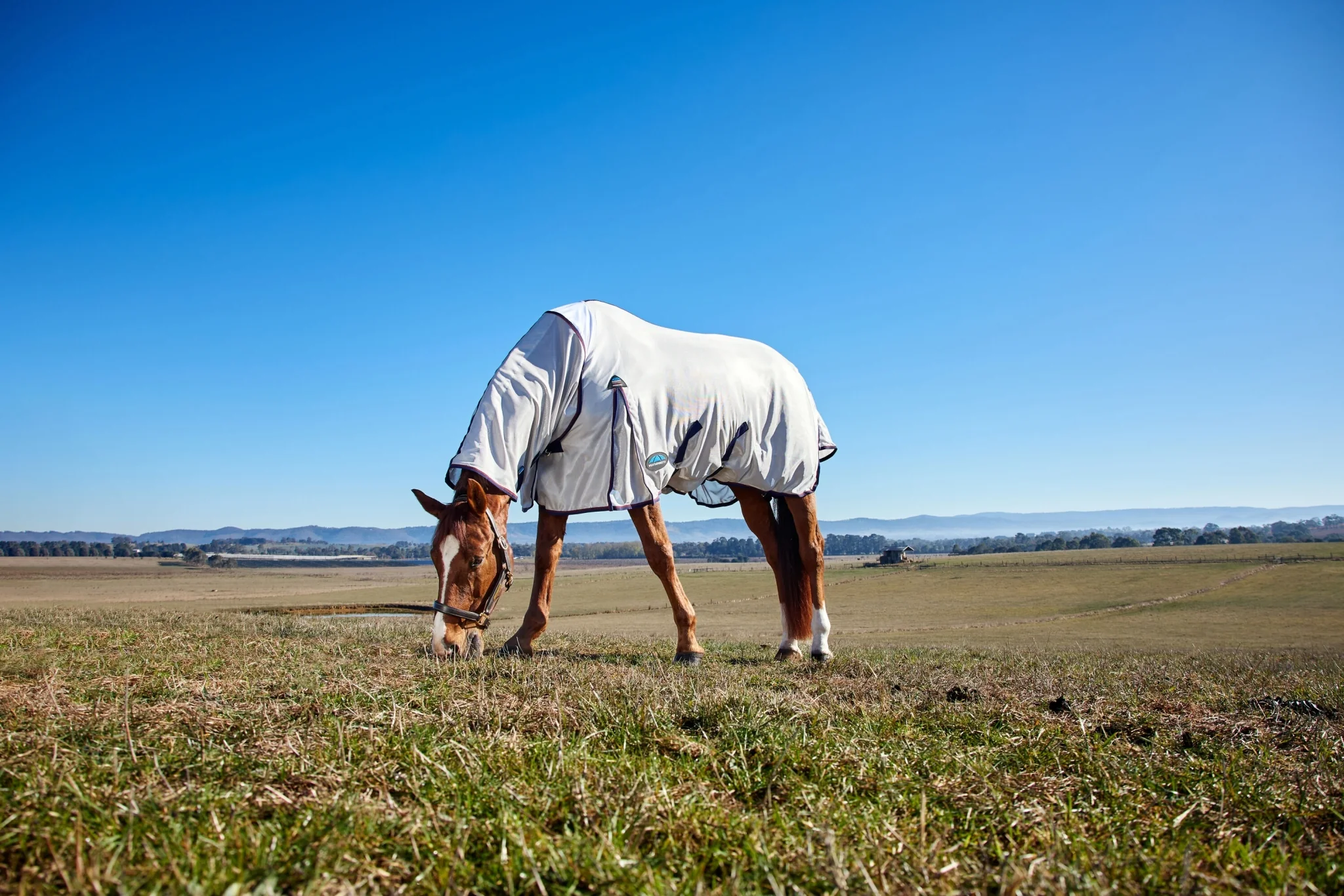 Weatherbeeta ComFiTec Airflow Fly Sheet Combo Neck - Image 4