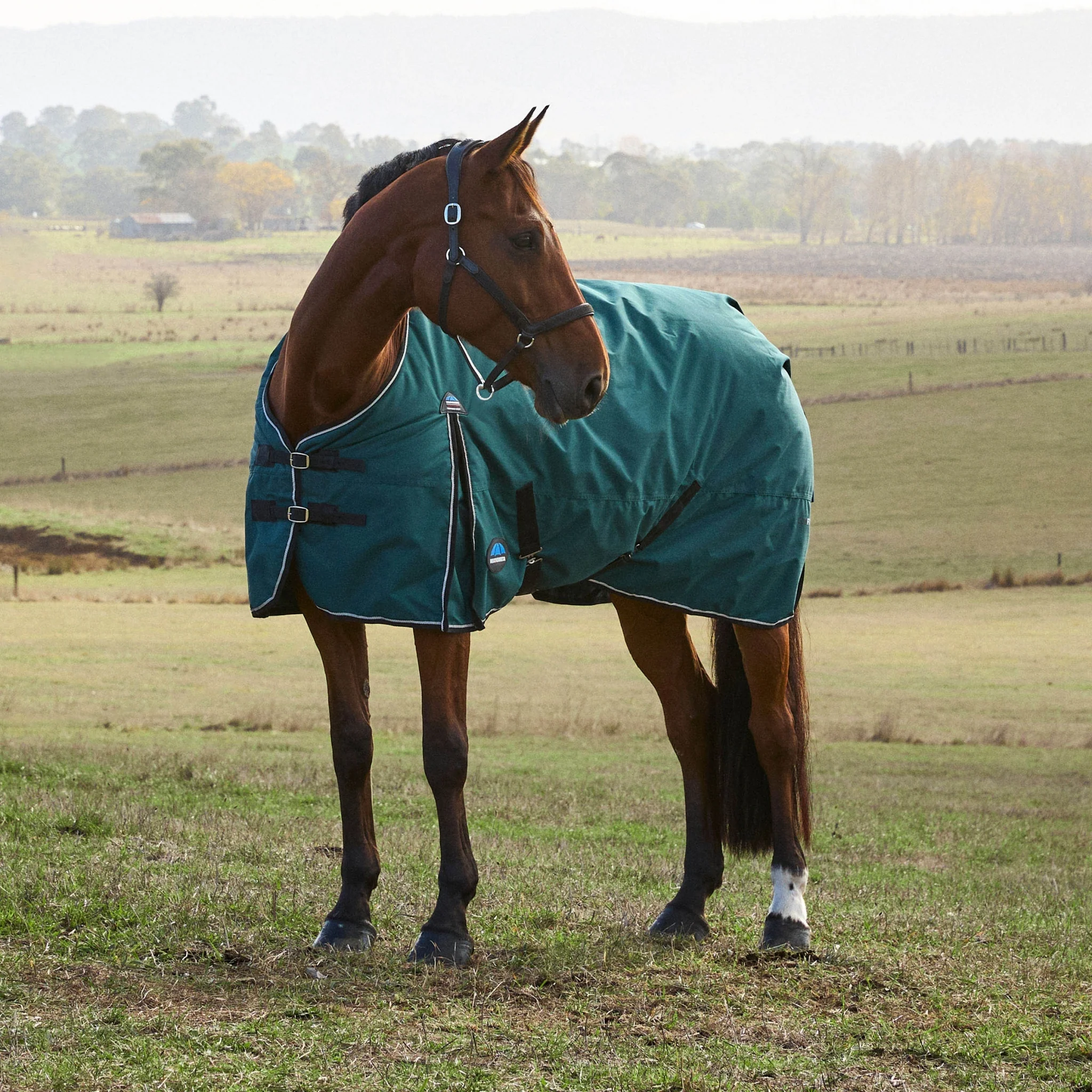 Weatherbeeta ComFiTec Classic Turnout Standard Neck 0g - Image 2