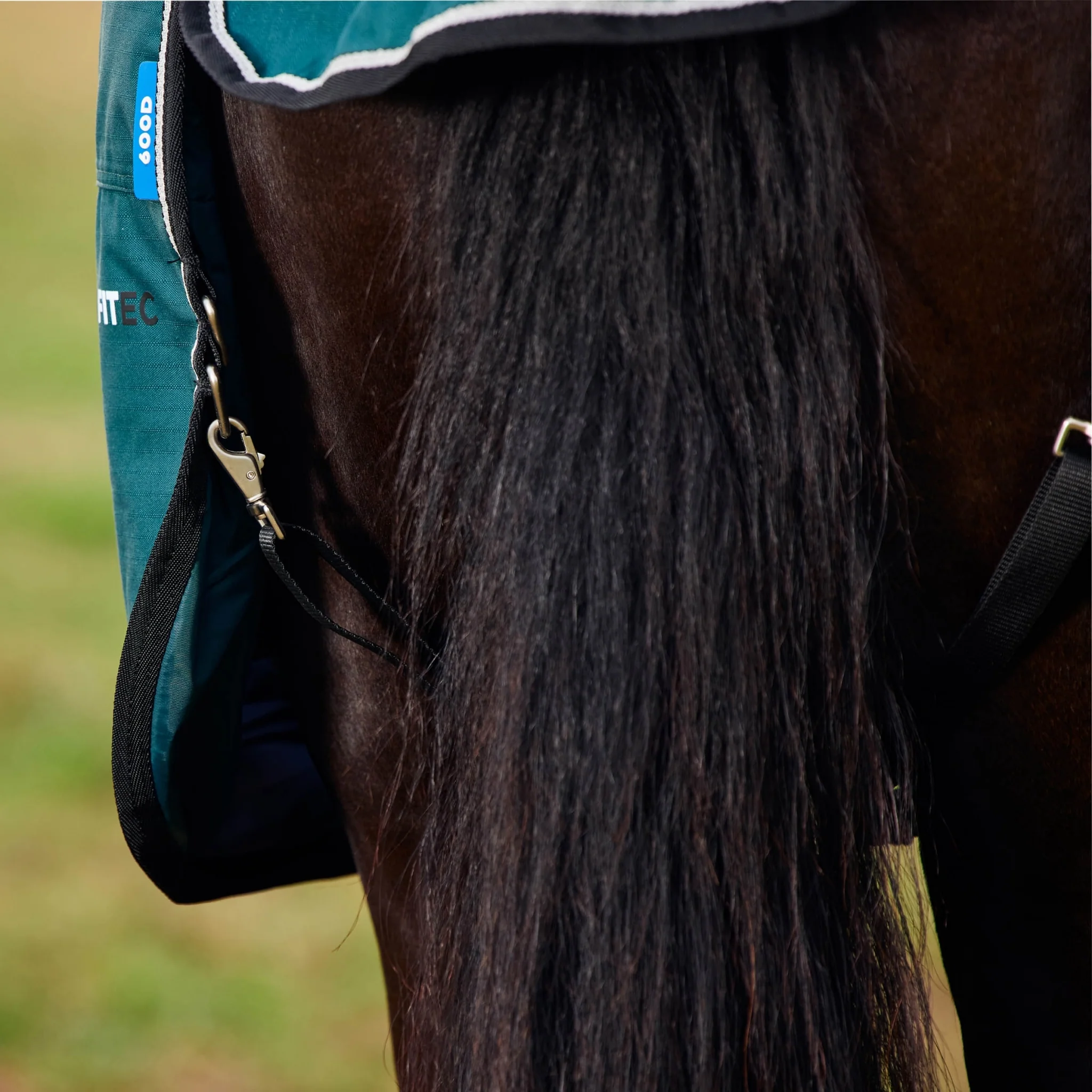 Weatherbeeta ComFiTec Classic Turnout Standard Neck 0g - Image 6
