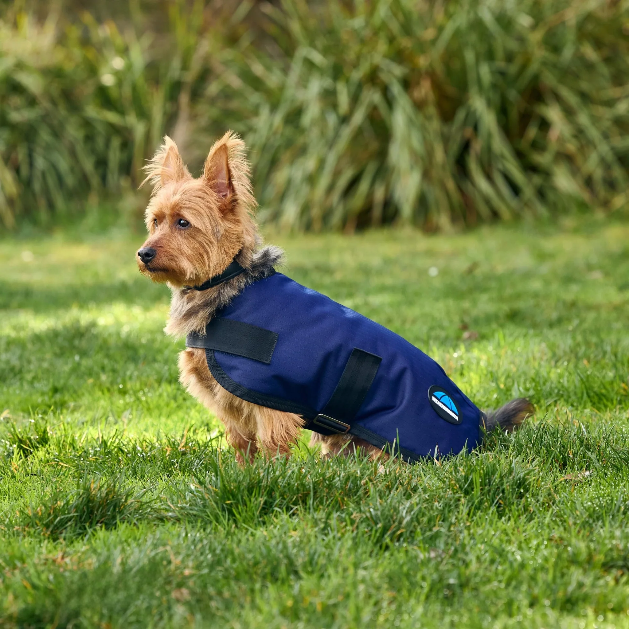 Weatherbeeta ComFiTec Classic Waterproof Dog Coat - Image 7