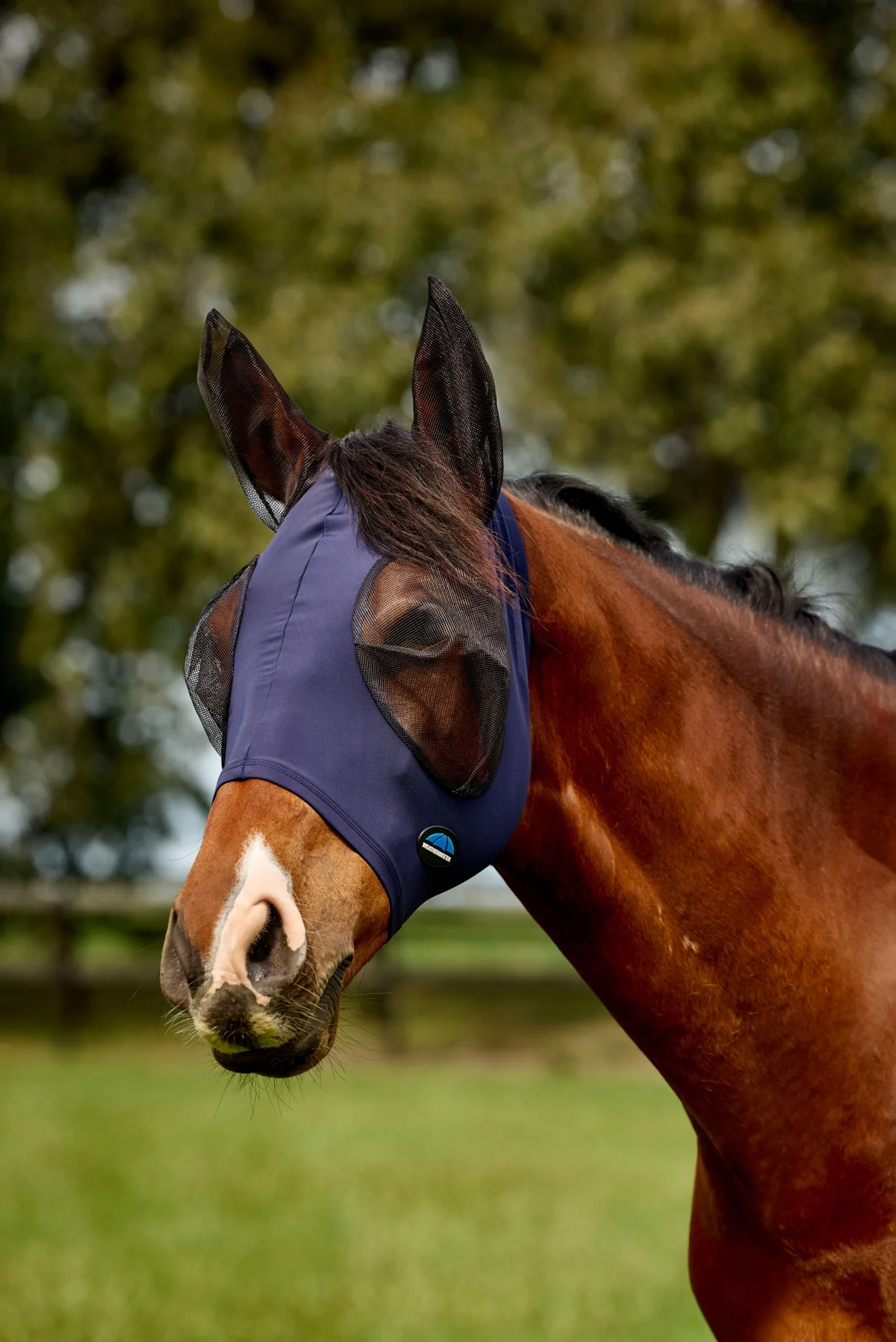 Weatherbeeta ComFiTec Deluxe Stretch Fly Mask with Ears - Image 5