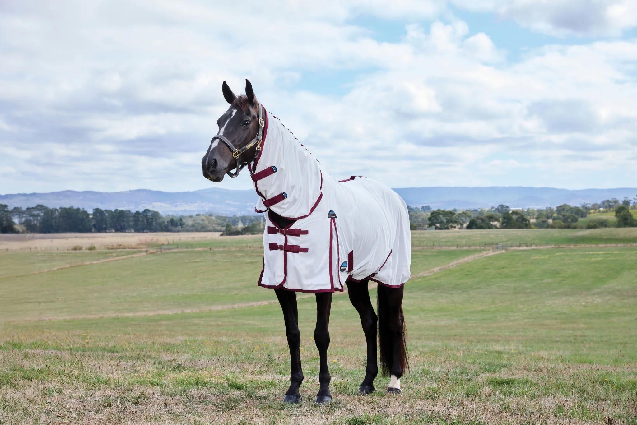 WeatherBeeta ComFiTec Essential Combo Neck Fly Sheet - Image 2