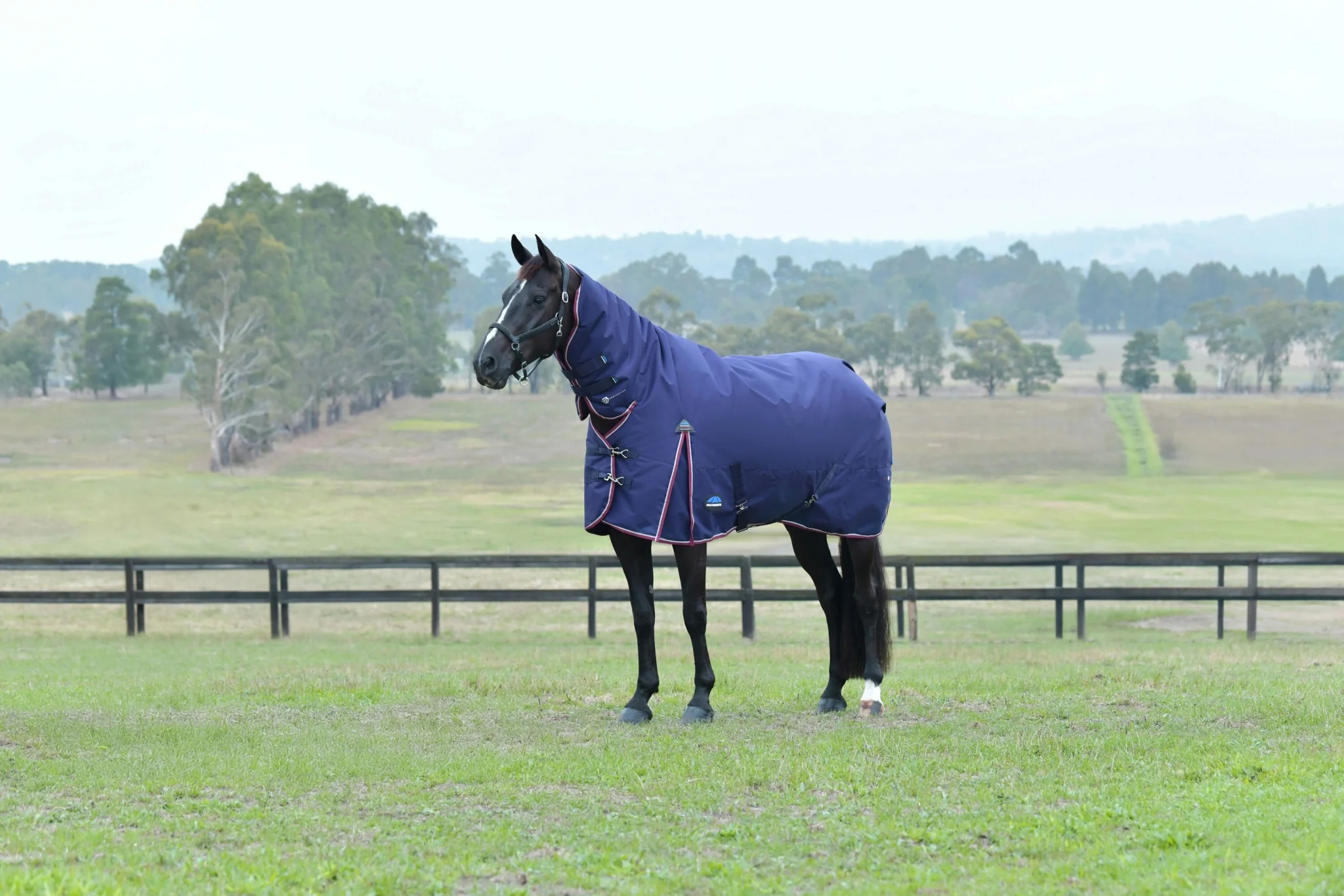Weatherbeeta ComFiTec Essential Turnout Combo 50g - Image 13