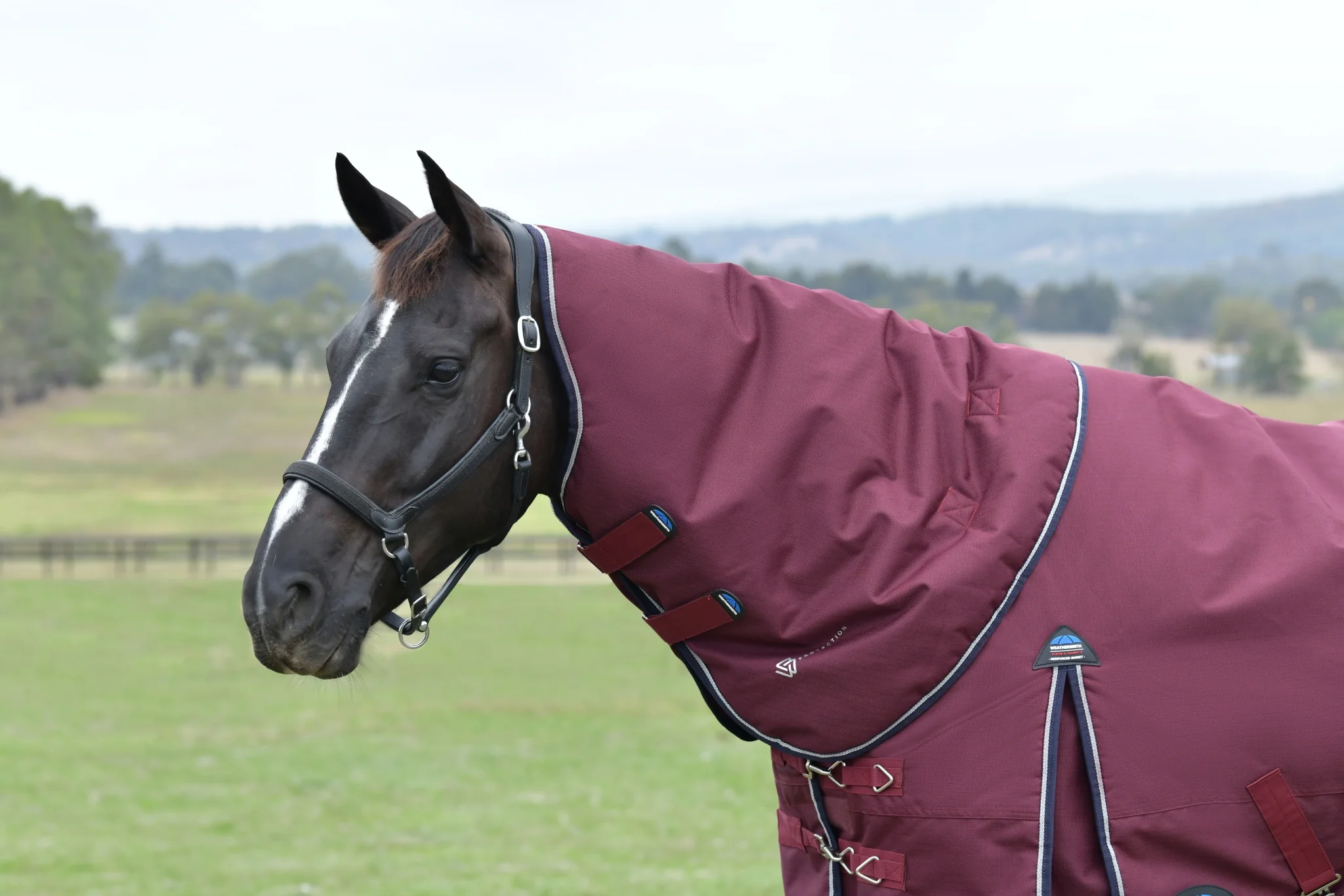Weatherbeeta ComFiTec Essential Turnout Neck Cover 0g - Image 3