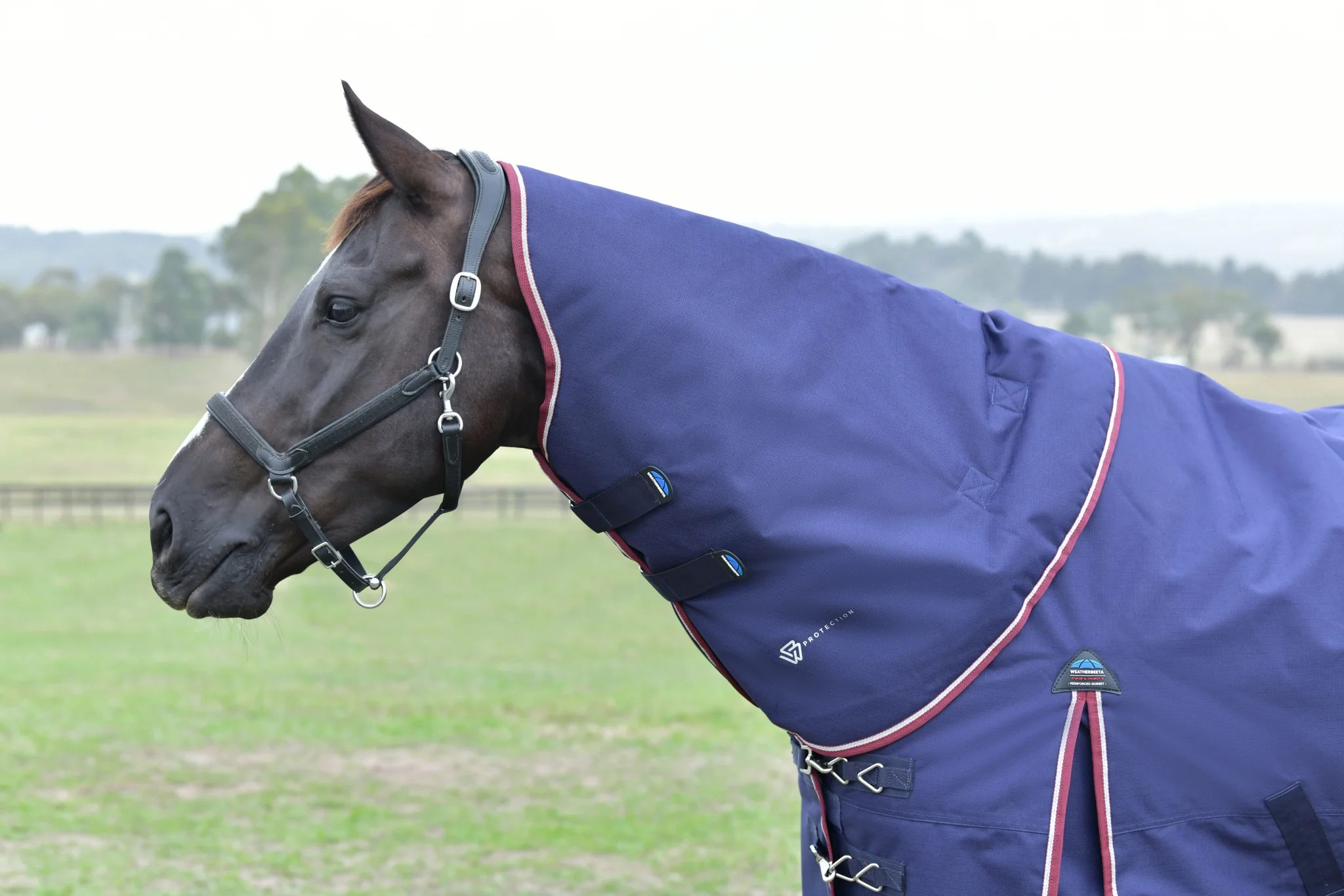 Weatherbeeta ComFiTec Essential Turnout Neck Cover 0g - Image 4