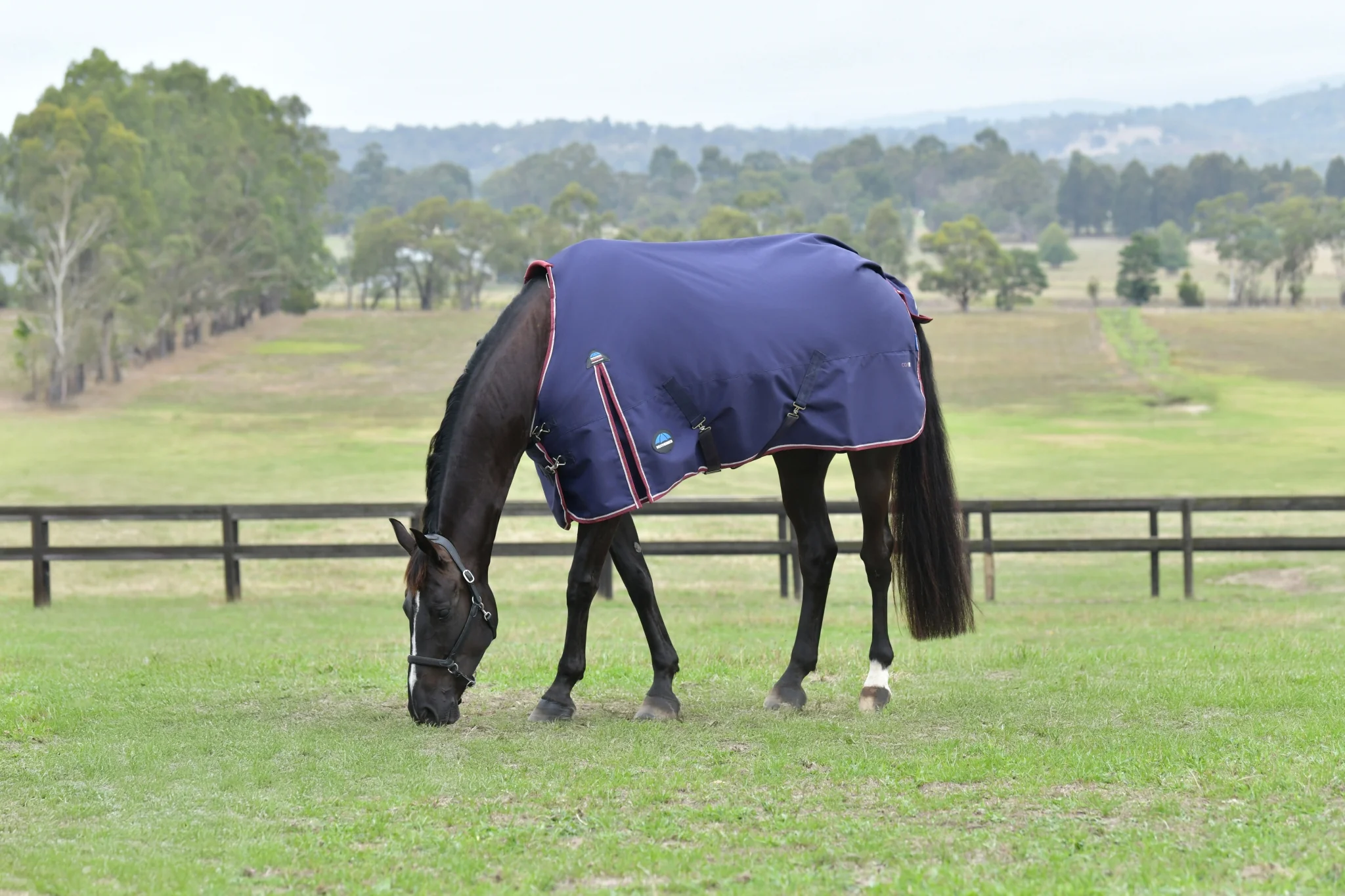 Weatherbeeta ComFiTec Essential Turnout Standard Neck 0g - Image 4