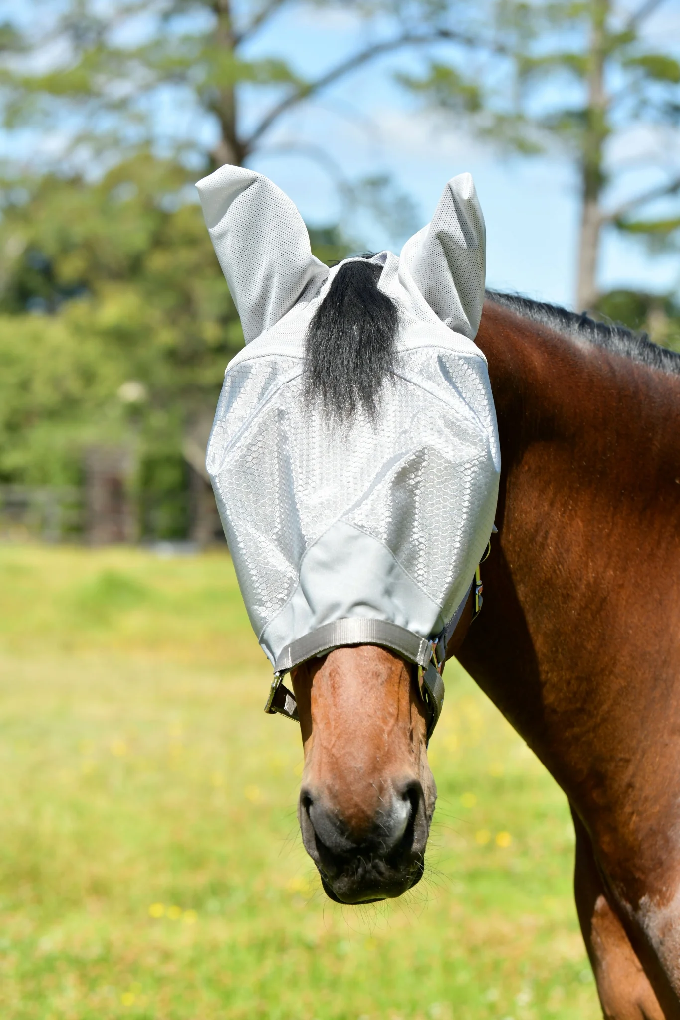 Weatherbeeta ComFiTec Hexi Shield Dual Fly Mask - Image 3
