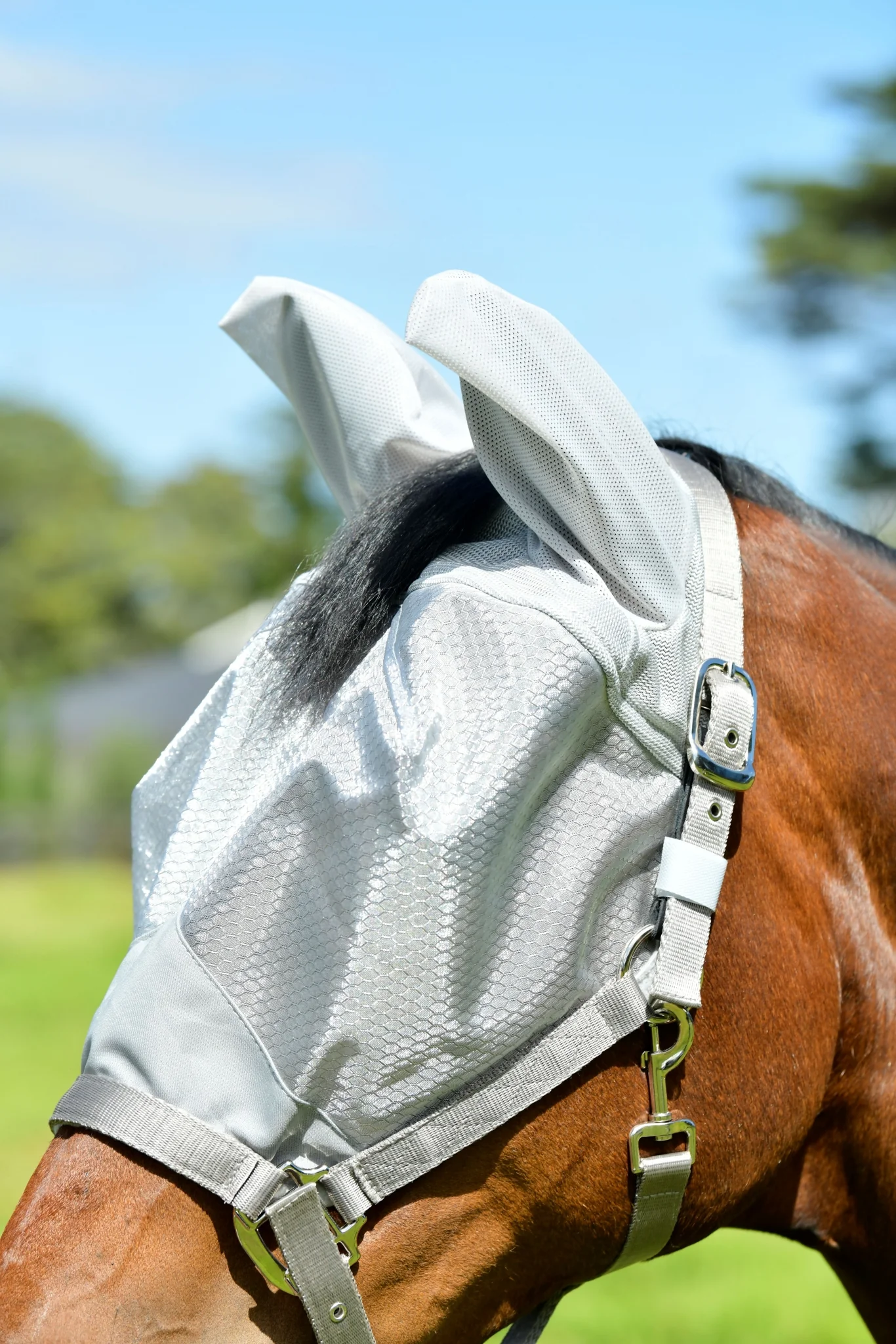 Weatherbeeta ComFiTec Hexi Shield Dual Fly Mask - Image 4