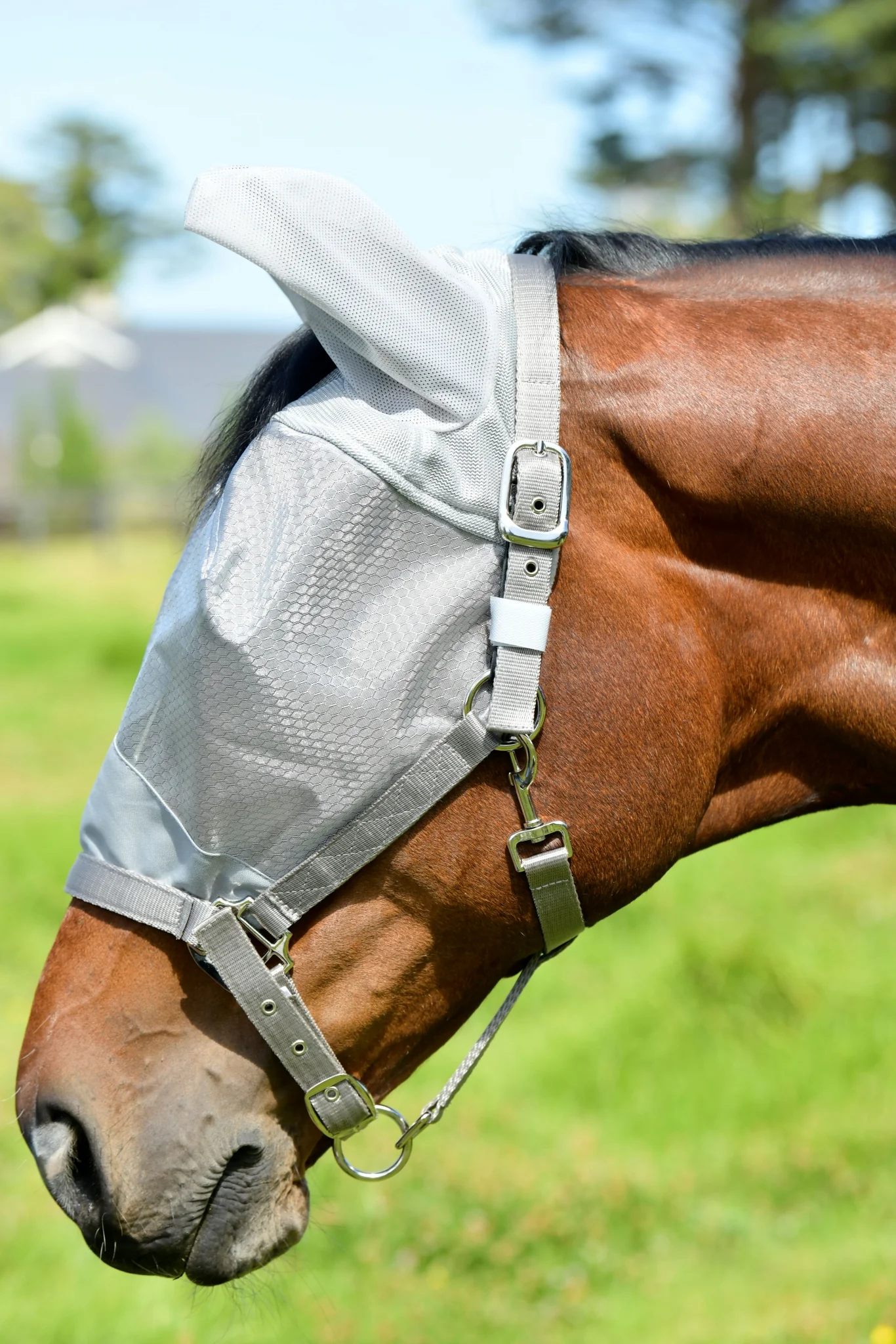 Weatherbeeta ComFiTec Hexi Shield Dual Fly Mask - Image 6