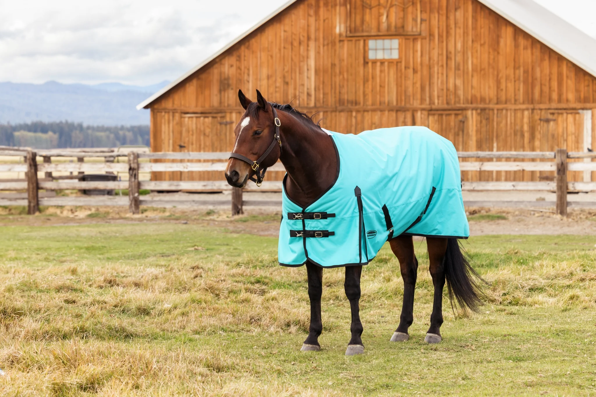 Weatherbeeta ComFiTec Original Turnout Standard Neck 220g - Image 6