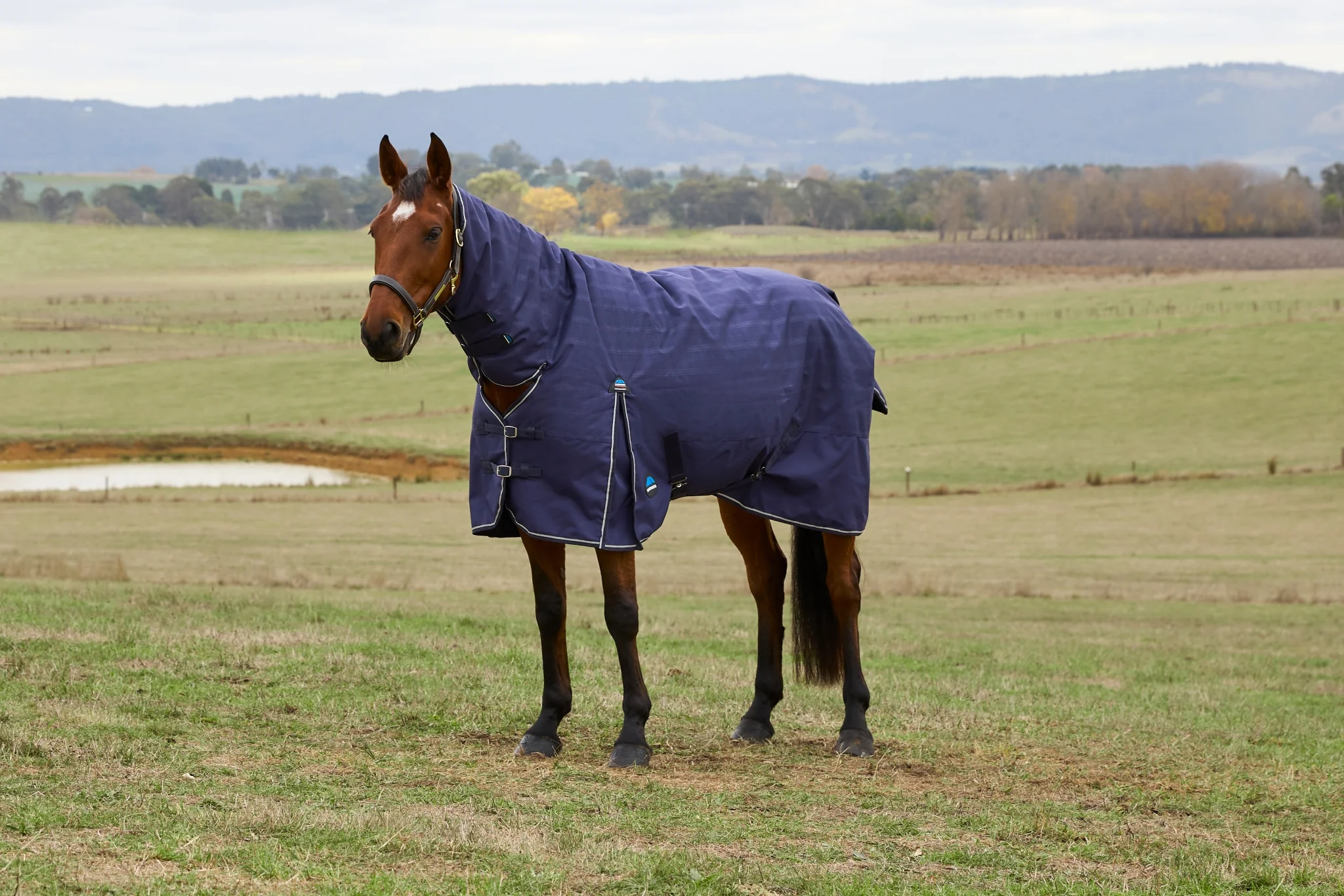 Weatherbeeta ComFiTec Prelim Turnout Combo Neck 220g - Image 2
