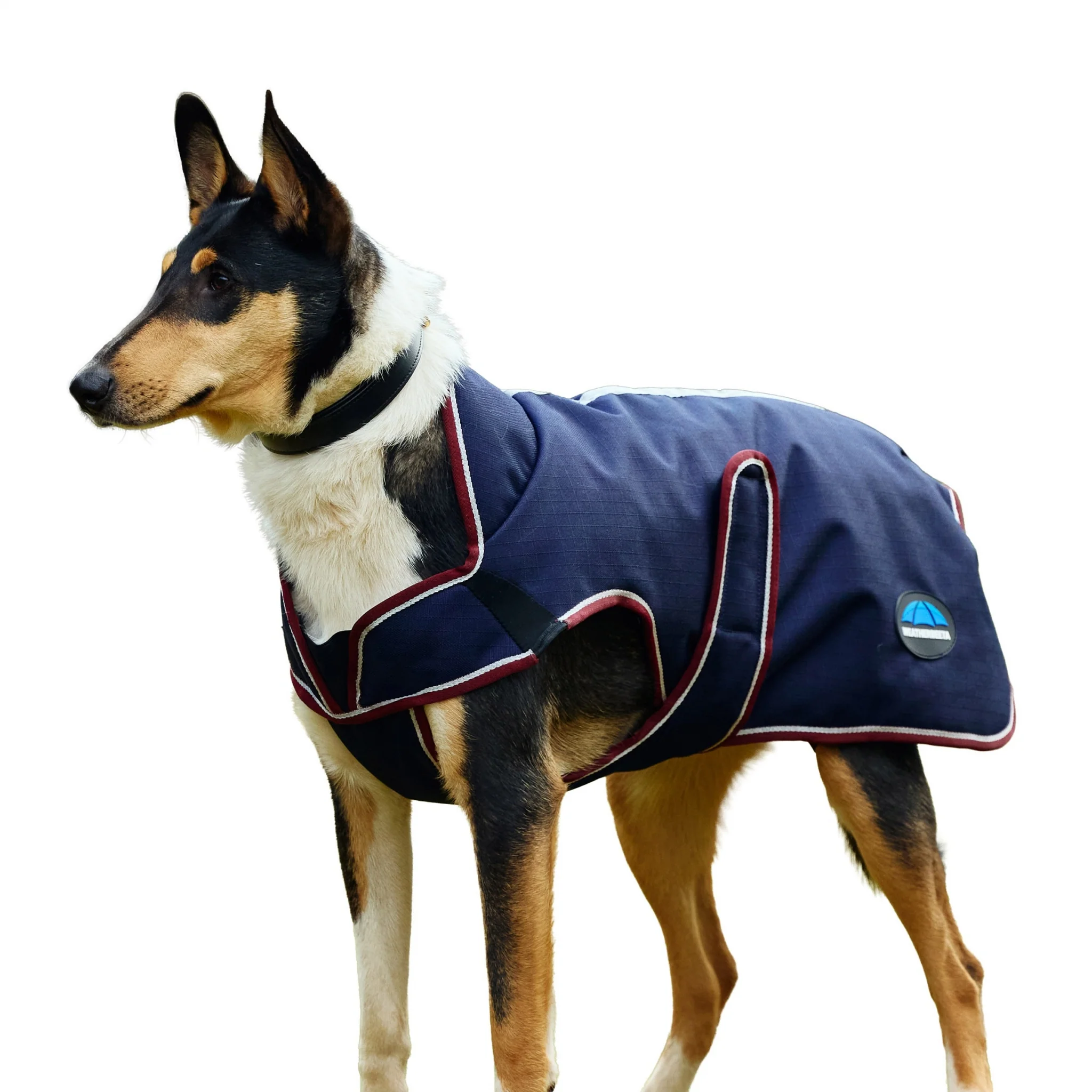 Weatherbeeta ComFiTec Premier Deluxe Waterproof Dog Coat - Image 2