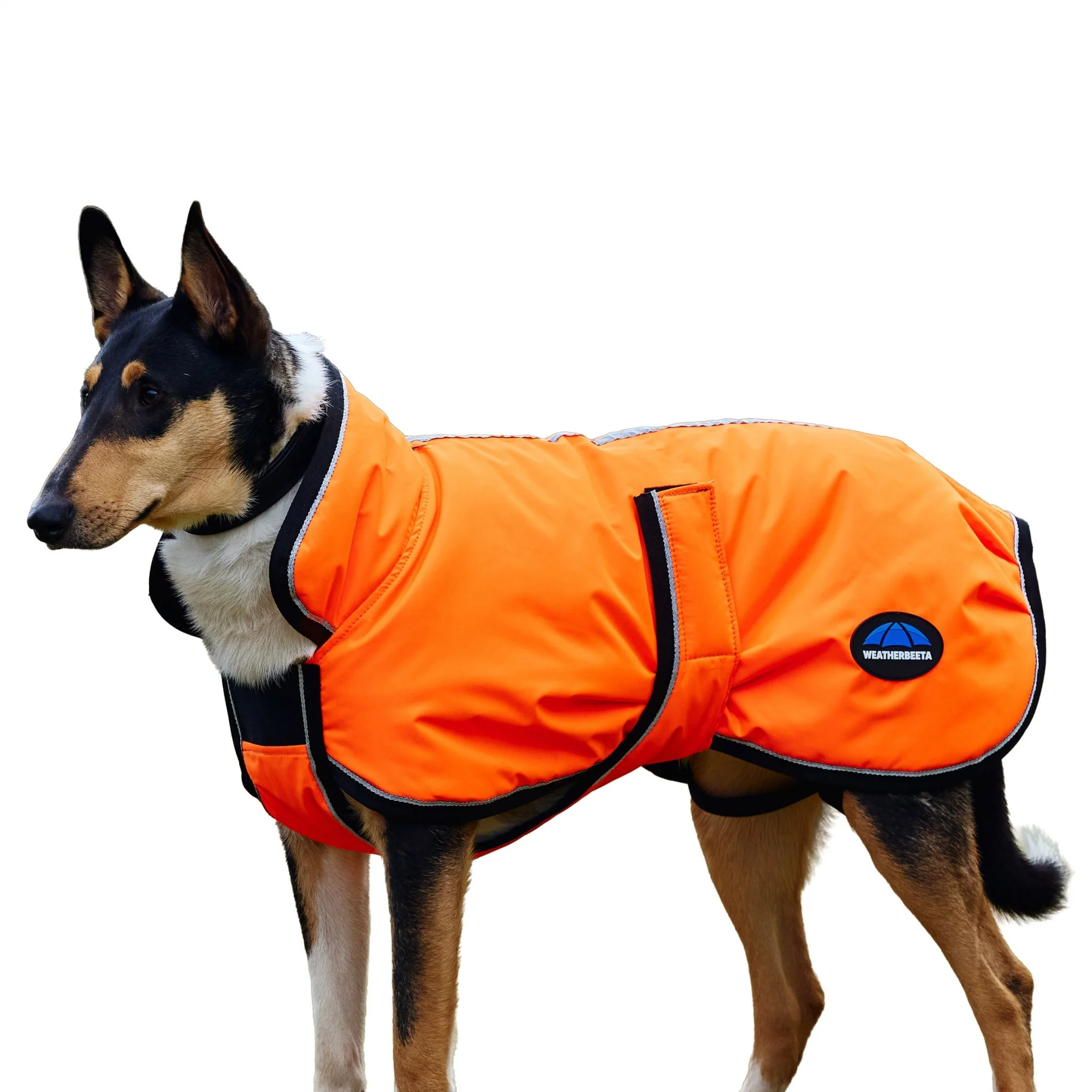 Weatherbeeta ComFiTec Reflective 300D Deluxe Showerproof Dog - Image 3