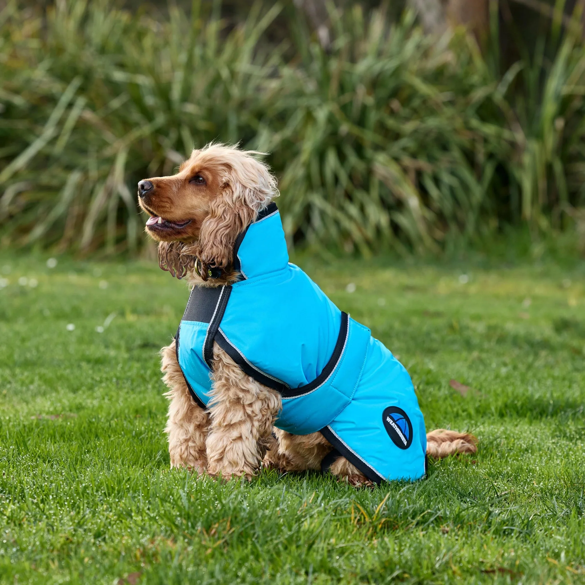 Weatherbeeta ComFiTec Reflective 300D Deluxe Showerproof Dog - Image 6
