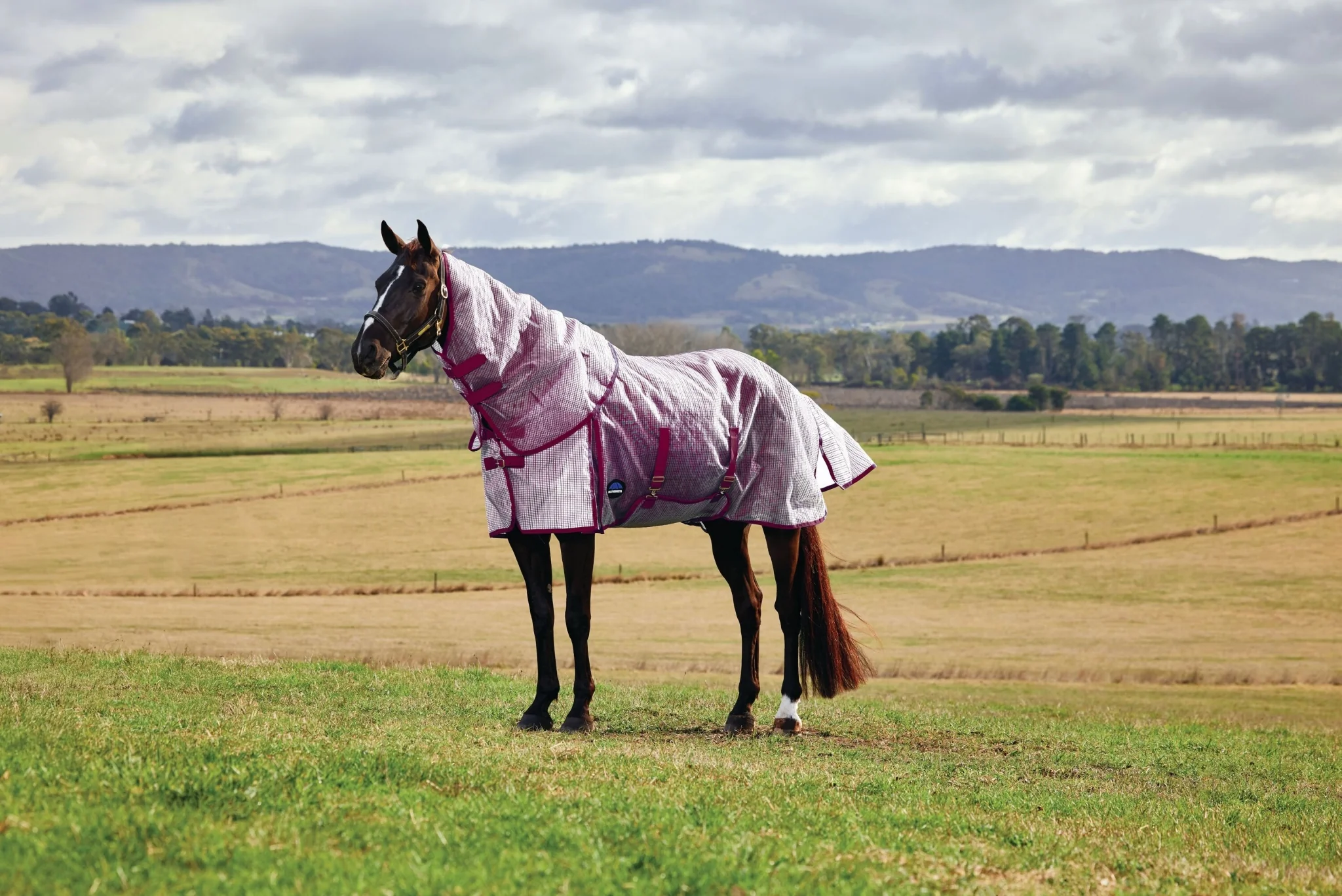 Weatherbeeta ComFiTec Ripshield Fly Sheet Detach-A-Neck - Image 3