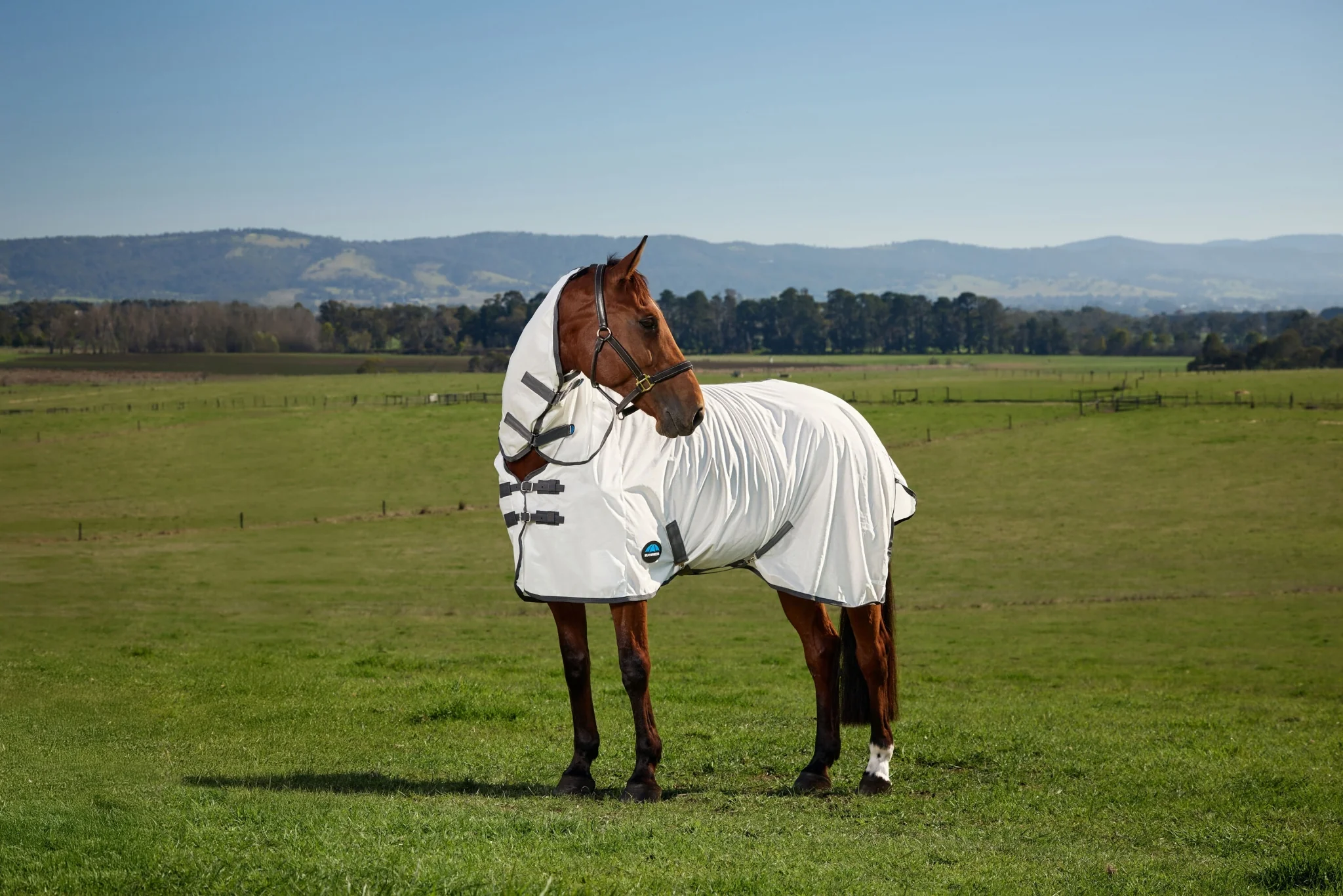 Weatherbeeta ComFiTec Tyro Fly Sheet Combo - Image 3