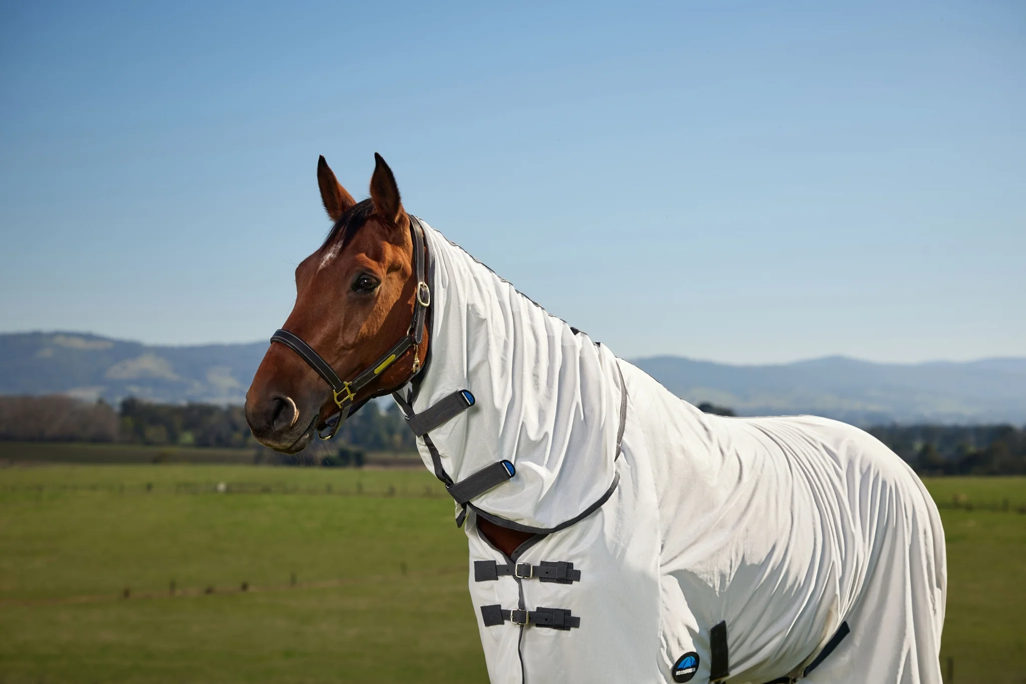 Weatherbeeta ComFiTec Tyro Fly Sheet Combo - Image 6