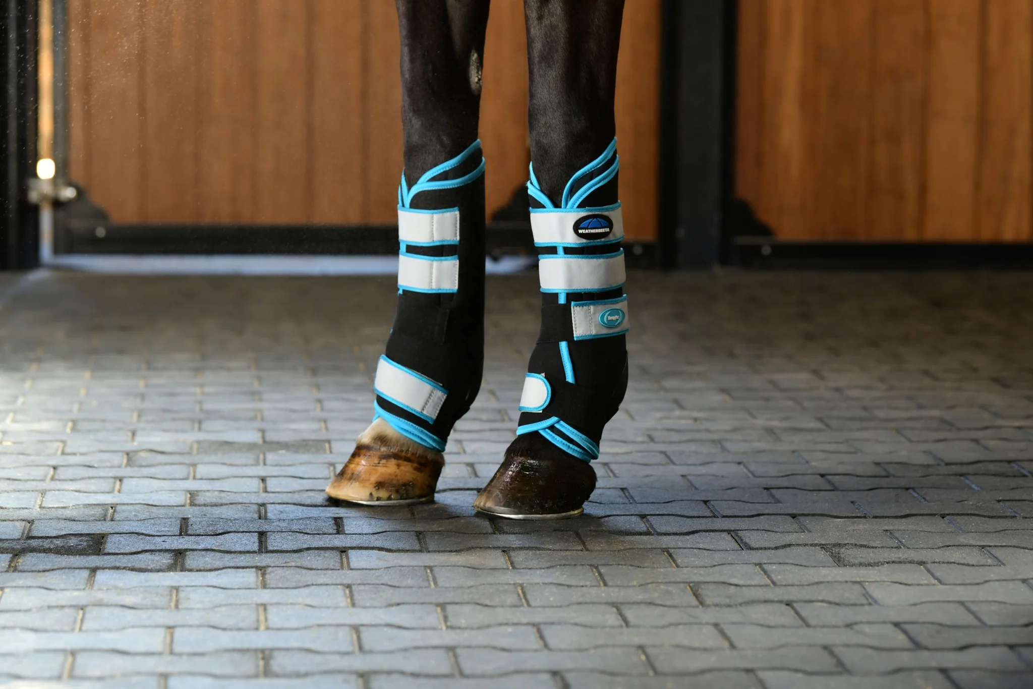 Weatherbeeta Therapy-Tec Stable Boot Wraps - Image 9