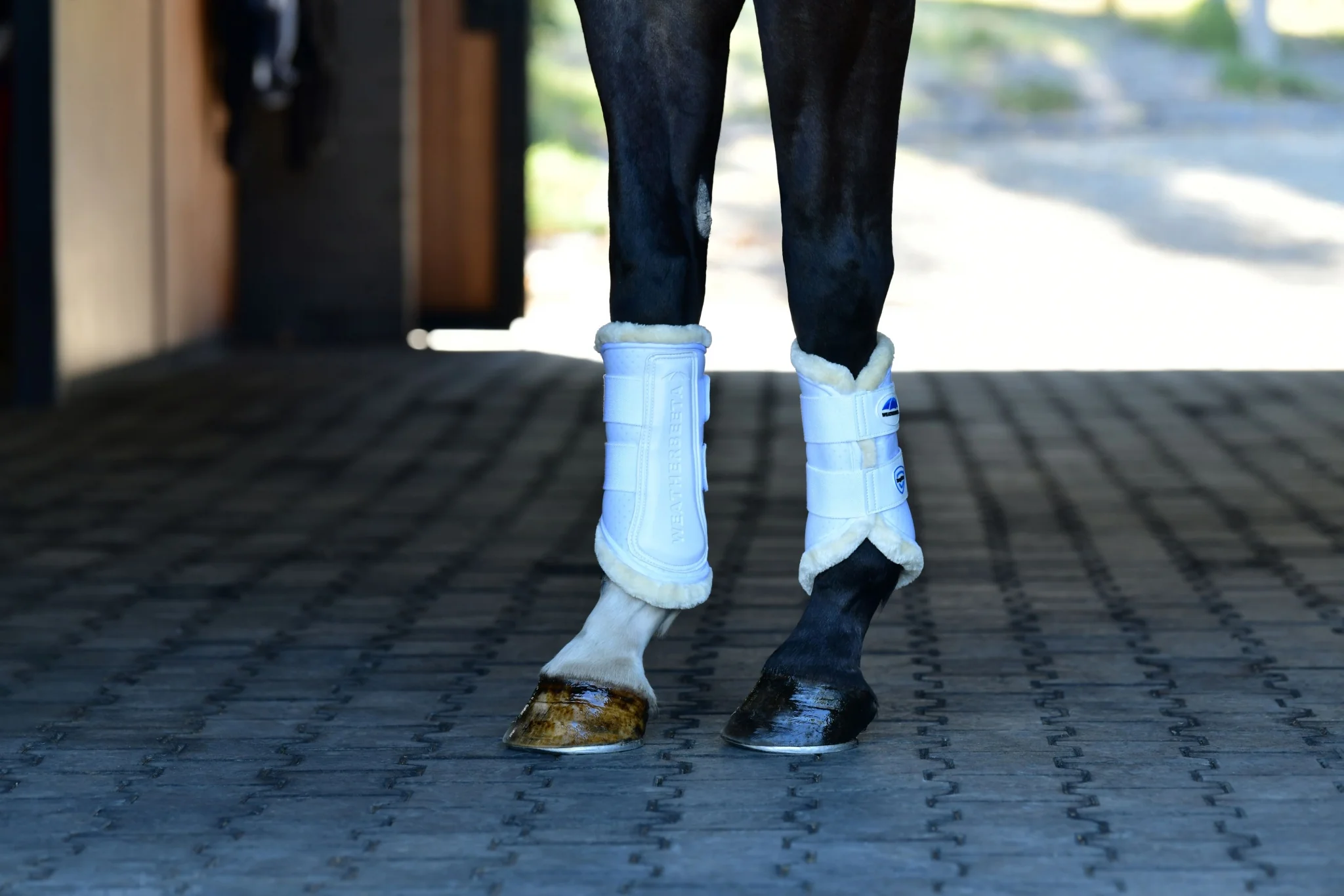 Weatherbeeta Tough-Tec Comfy Fleece Brushing Boots - Image 11
