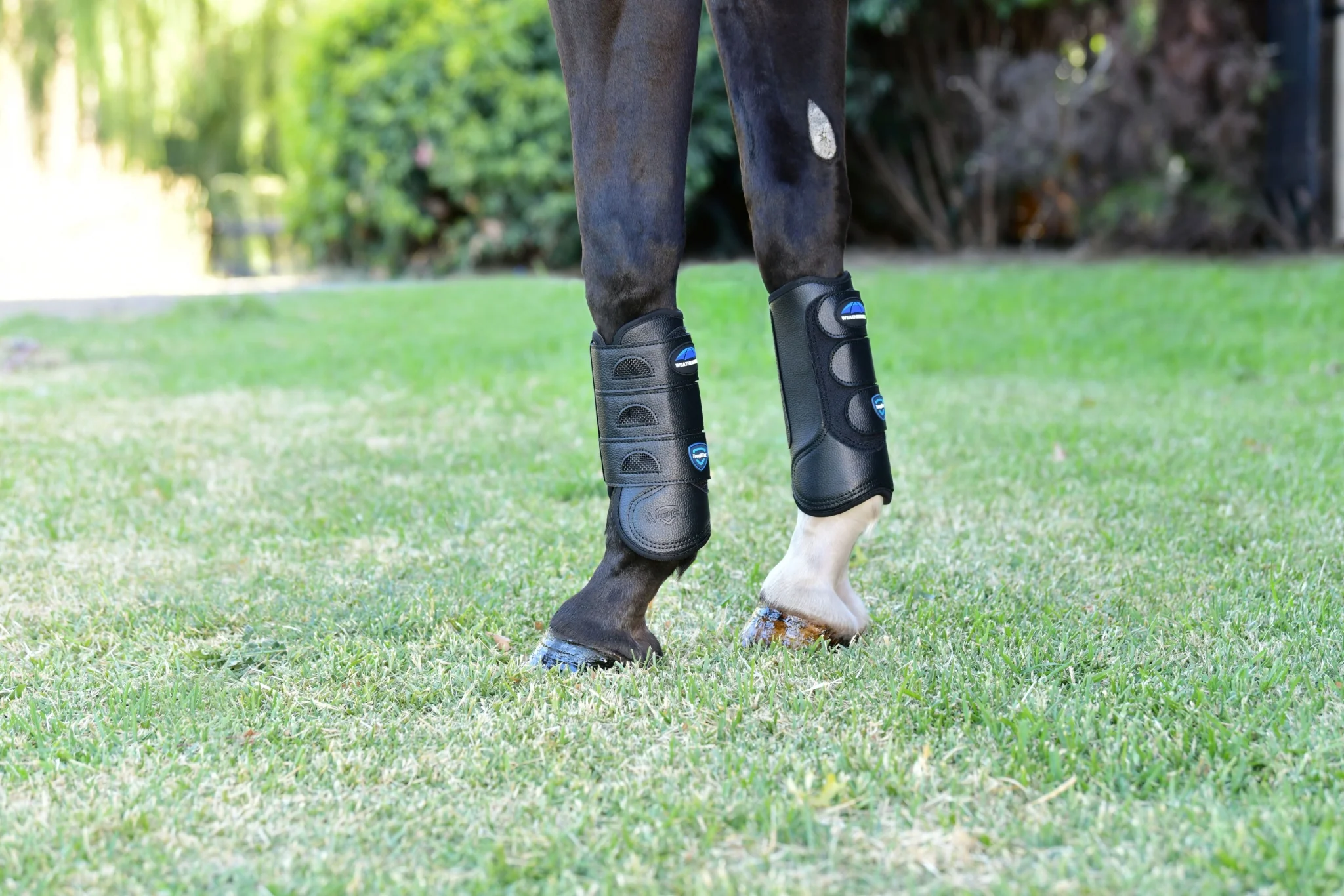 Weatherbeeta Tough-Tec Eventing Front Boots - Image 7