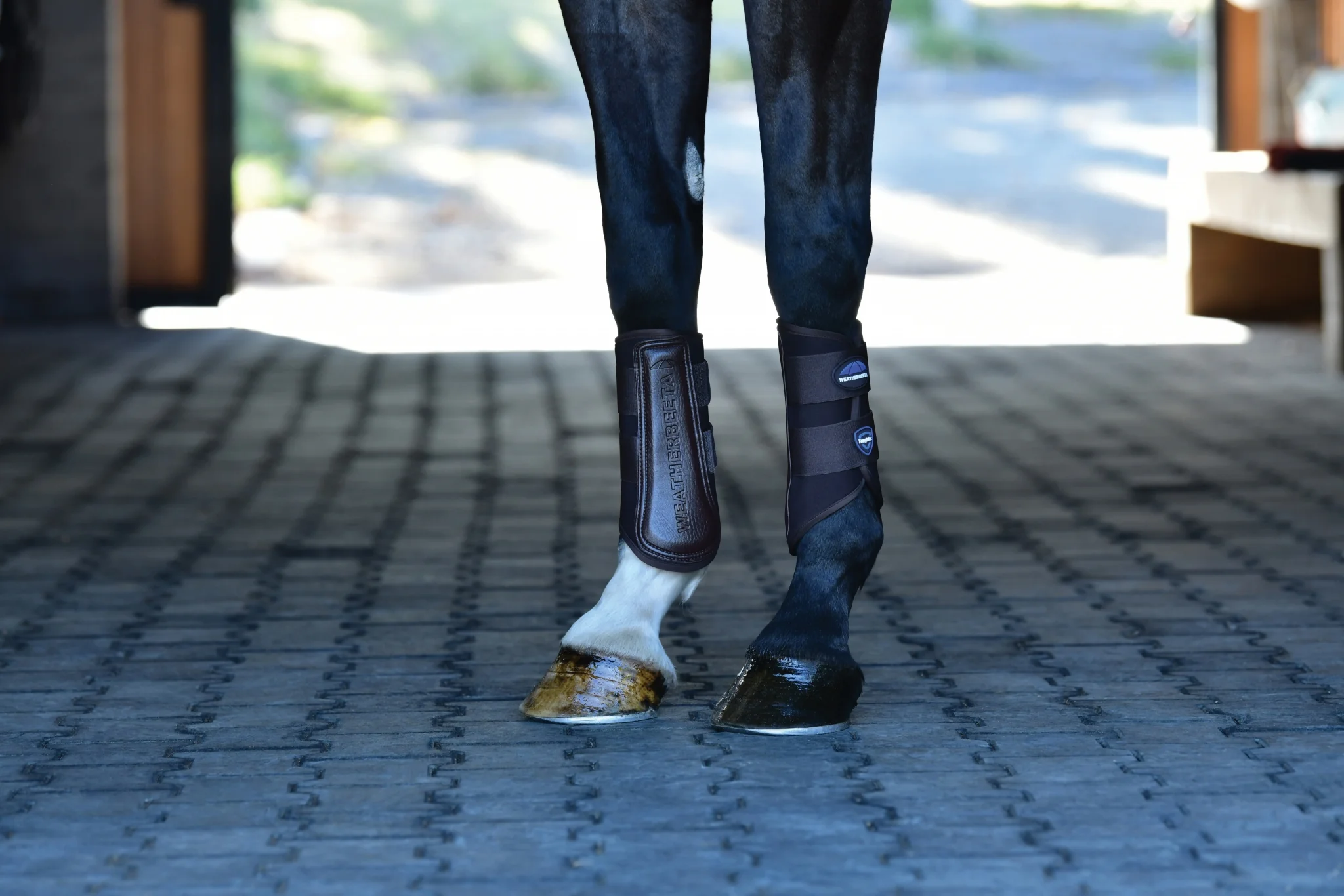 Weatherbeeta Tough-Tec Prime Brushing Boots - Image 15