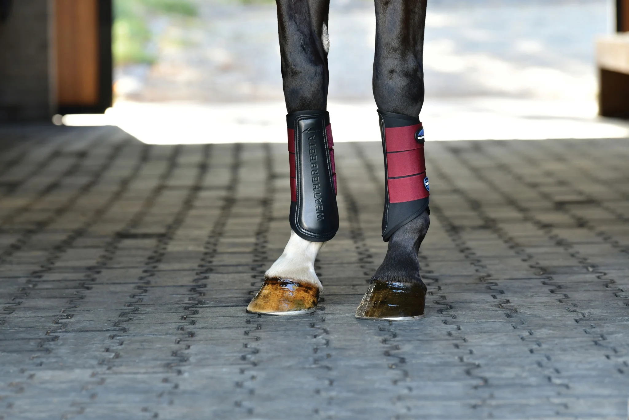 Weatherbeeta Tough-Tec Prime Brushing Boots - Image 17