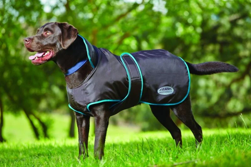 Weatherbeeta 420D Dog Windbreaker Fleece Lined with Belly Wrap - Image 12