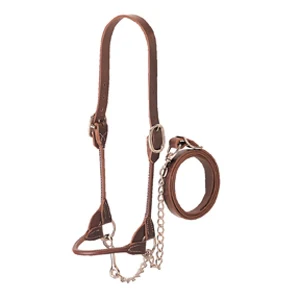Weaver Leather Dairy/Beef Rounded Show Halter - Image 2