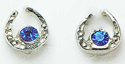 Western Edge Small Horseshoe with Crystal Stones Earrings