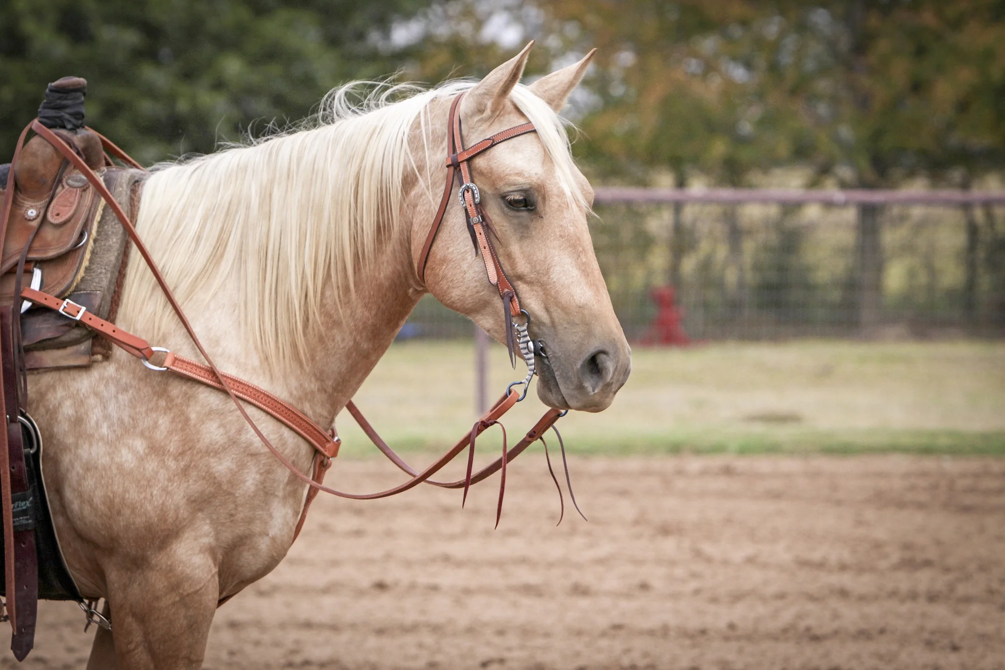 Wildfire Saddlery Harness Leather Split Reins - Image 5